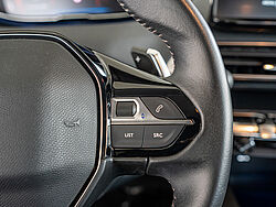 Menden Peugeot 3008 Fahrzeugbild - 15